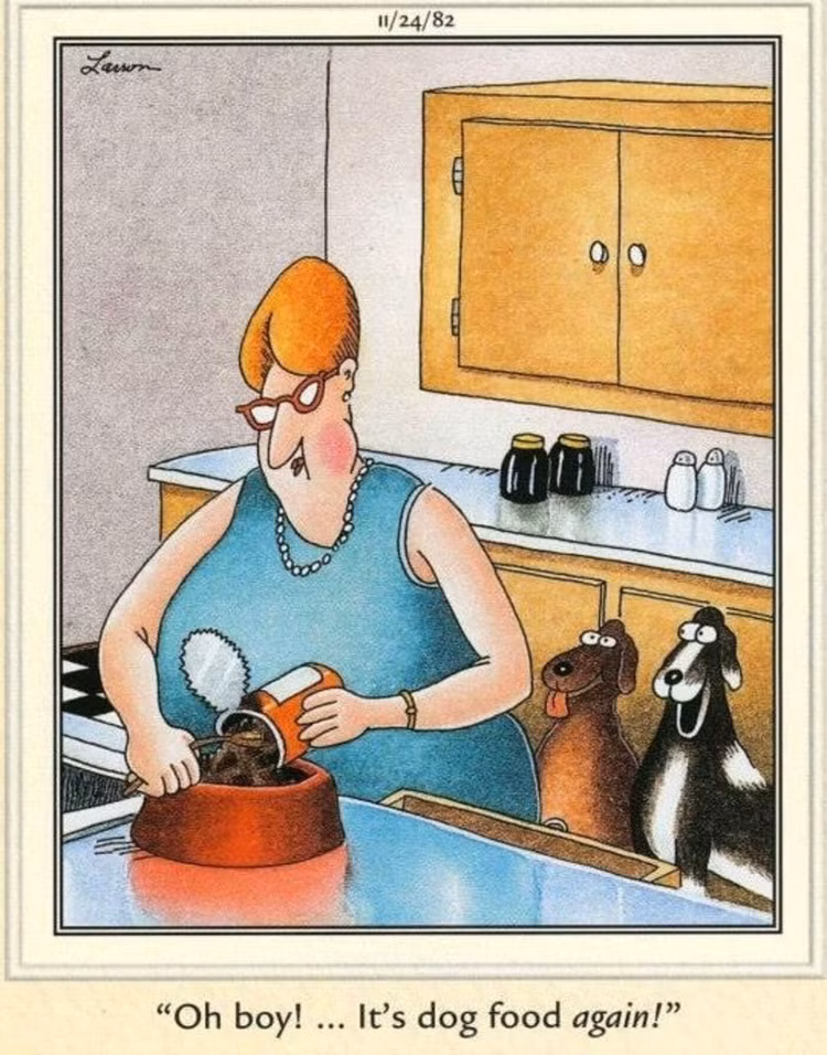 10 Hilarious Far Side Comics That Show Why Dogs Are Man's Best Friend