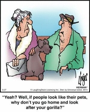 Herman Comics by Jim Unger