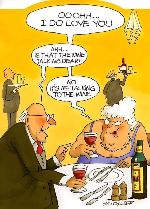 Hilarious Old Couple Cartoons