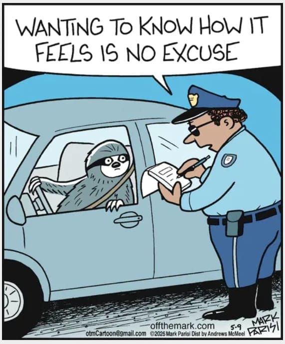 New Off the Mark Comics 2025