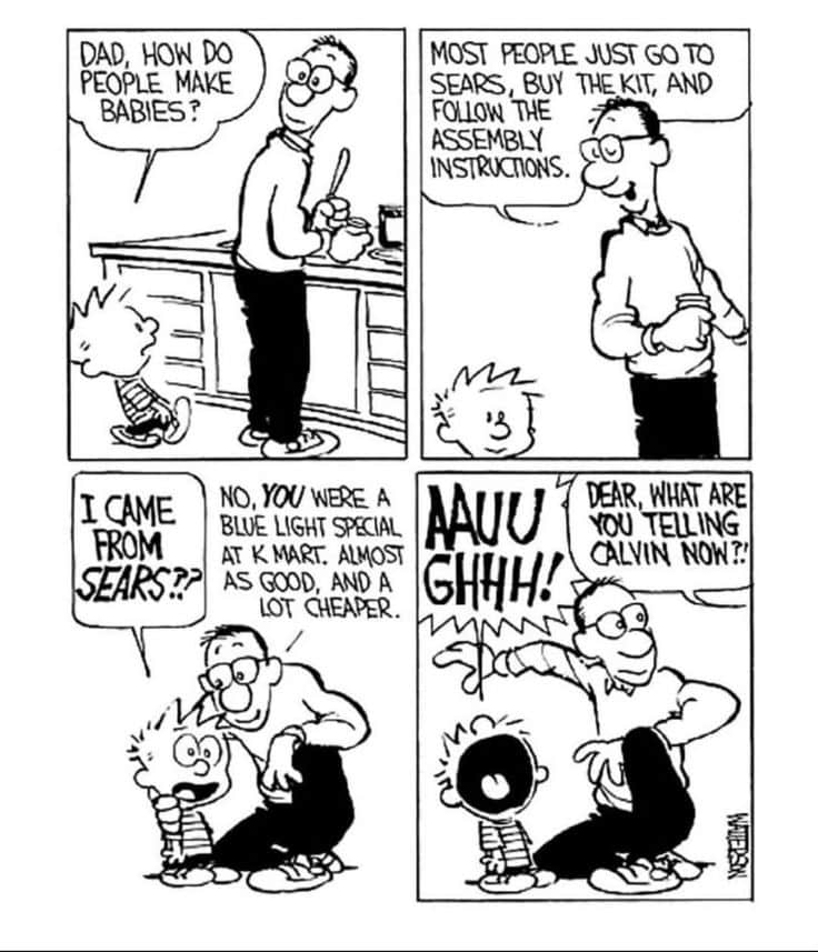 Calvin and Hobbes Cartoons