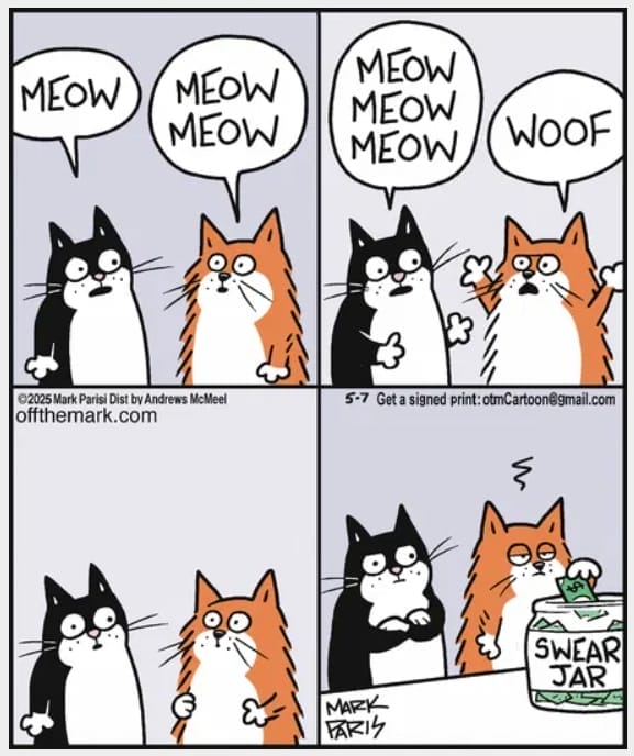 New Off the Mark Comics 2025