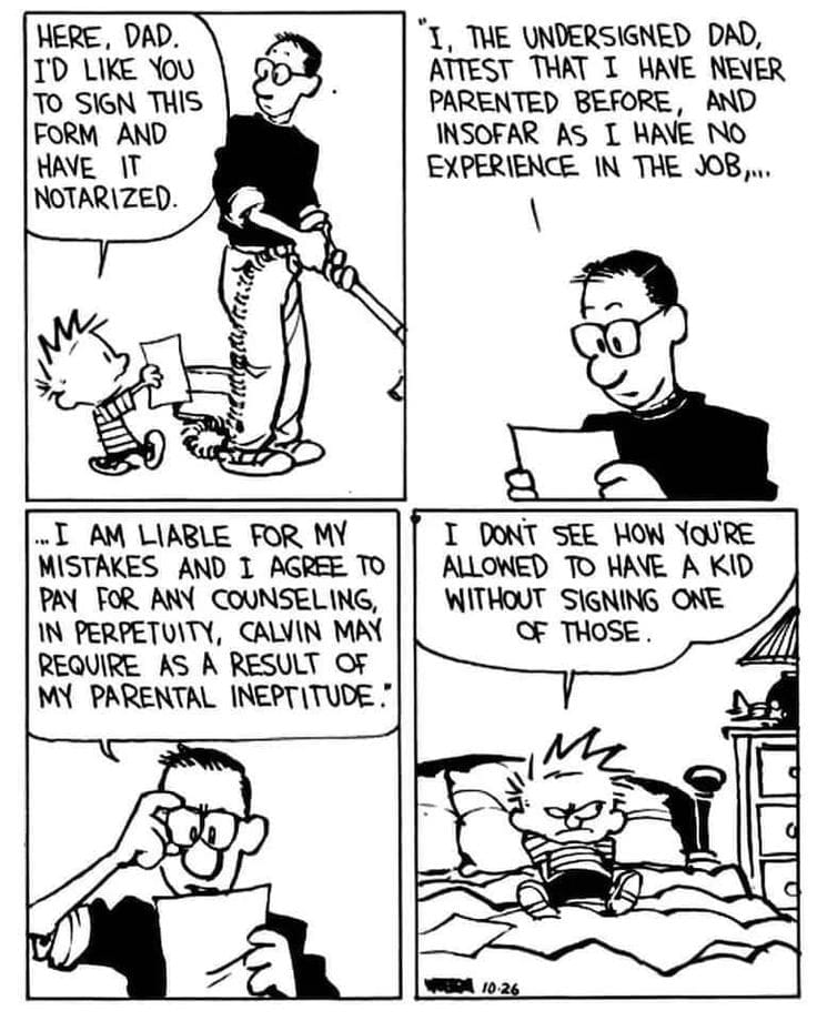 Calvin and Hobbes Comics