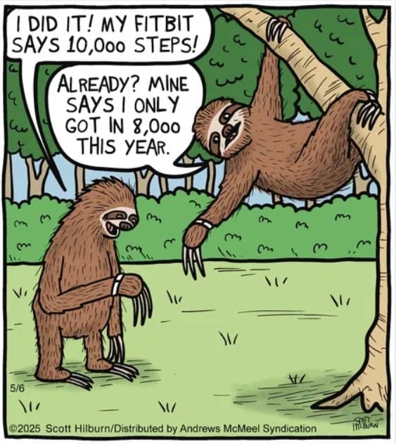 Single Panel Humor Comics