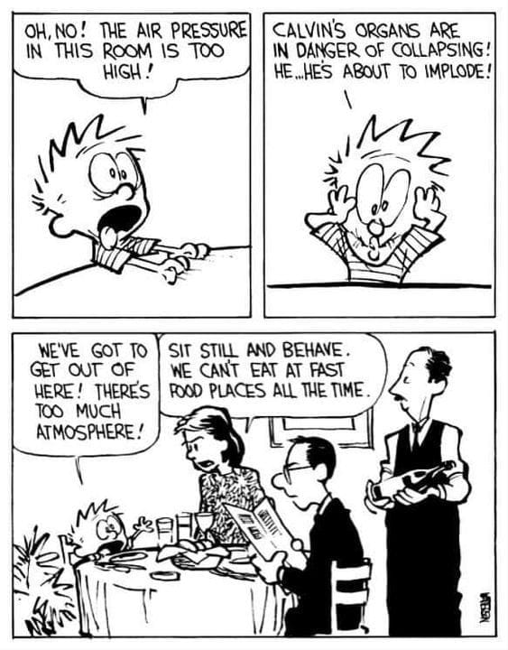 Calvin and Hobbes Comics