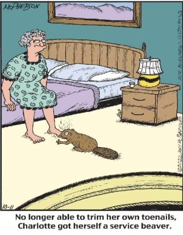 Close to Home Comics By John McPherson