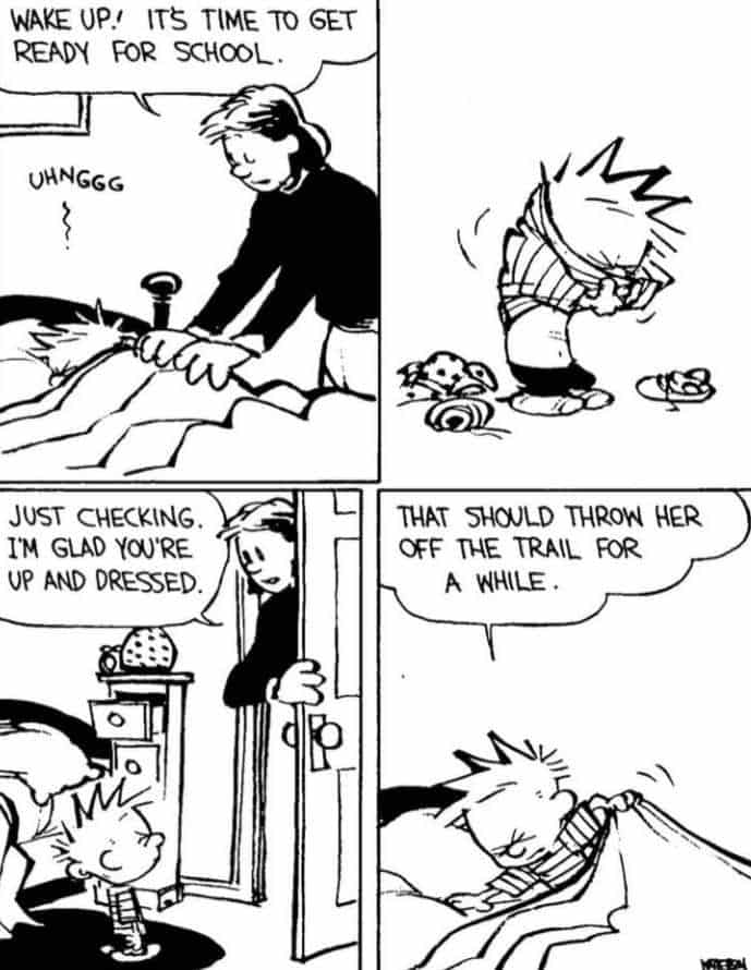 Calvin and Hobbes Cartoons