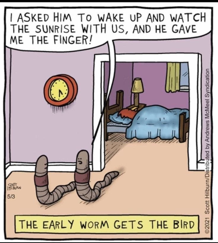 Hilarious Comics Online