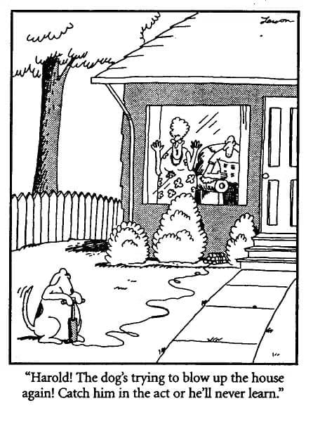 Best of The Far Side Comics