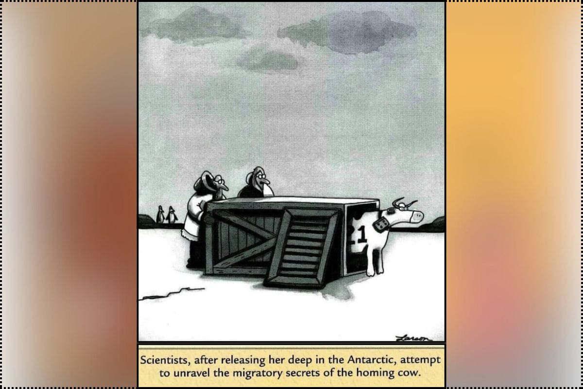 Best Far Side Comics