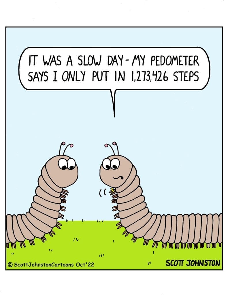 Today Funniest cartoons