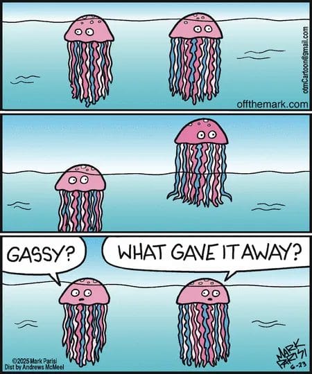 Funny Cartoons Today