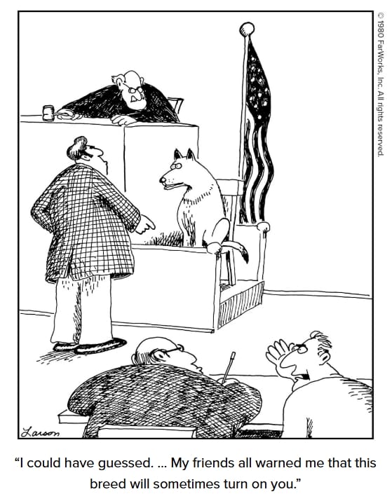 New Far Side Humor