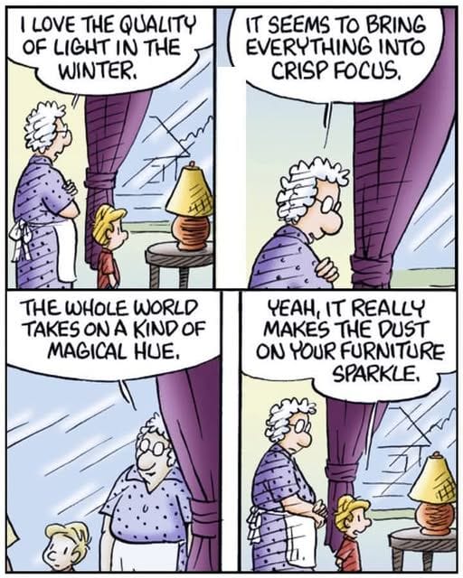 Family Life Comic Strips