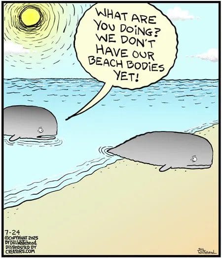 Top Hilarious Comics