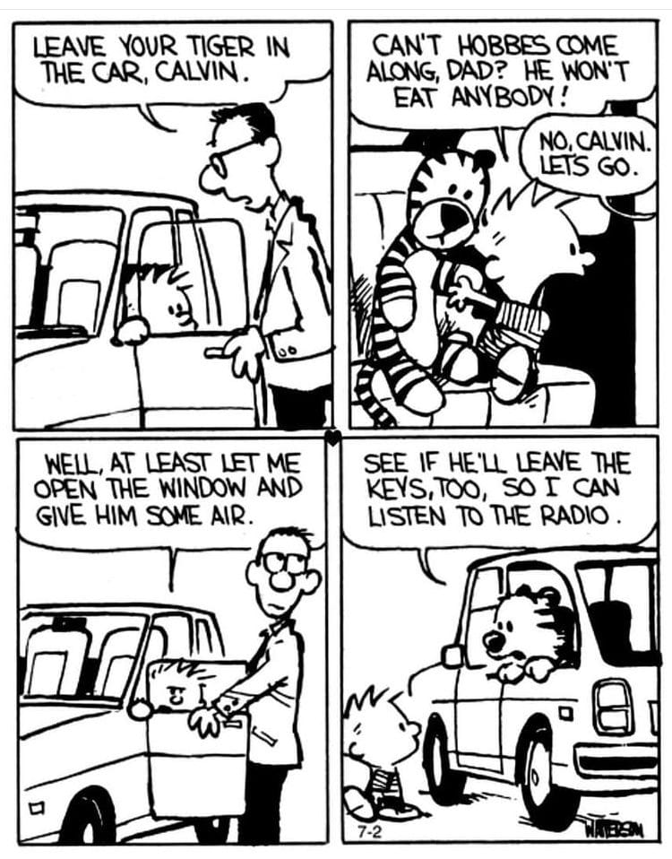 Best Daily Life Comics