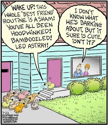 Top Hilarious Comics