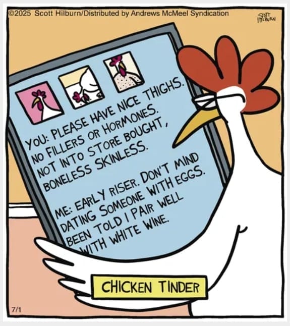 New Hilarious Comics