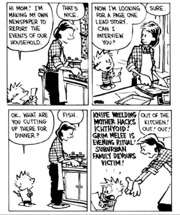 Calvin and Hobbes Comics 