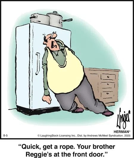 Absurd Situations Cartoons