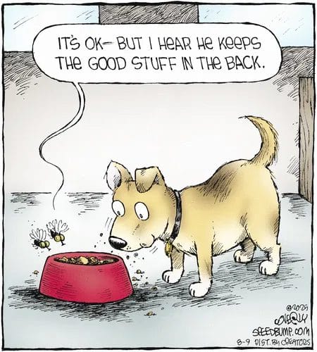 Everyday Life in Cartoons