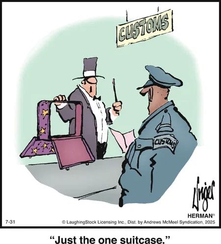 Absurd Situations Cartoons