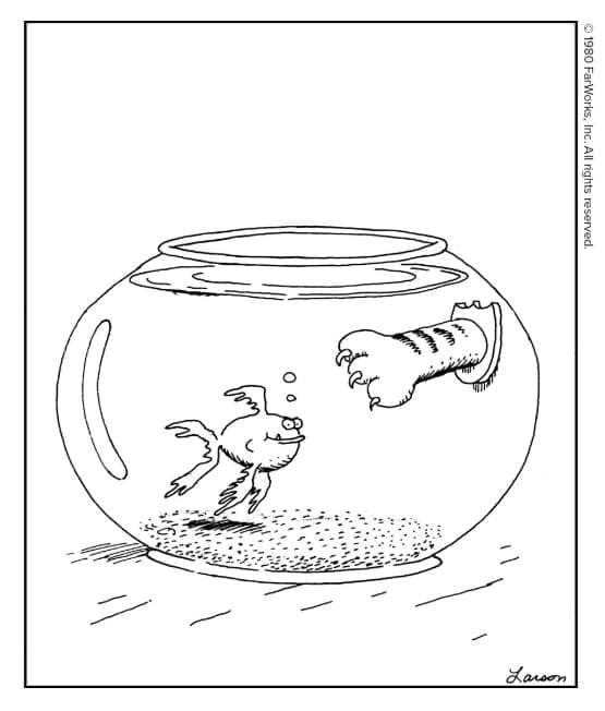 Daily Dose of Humor Cartoons