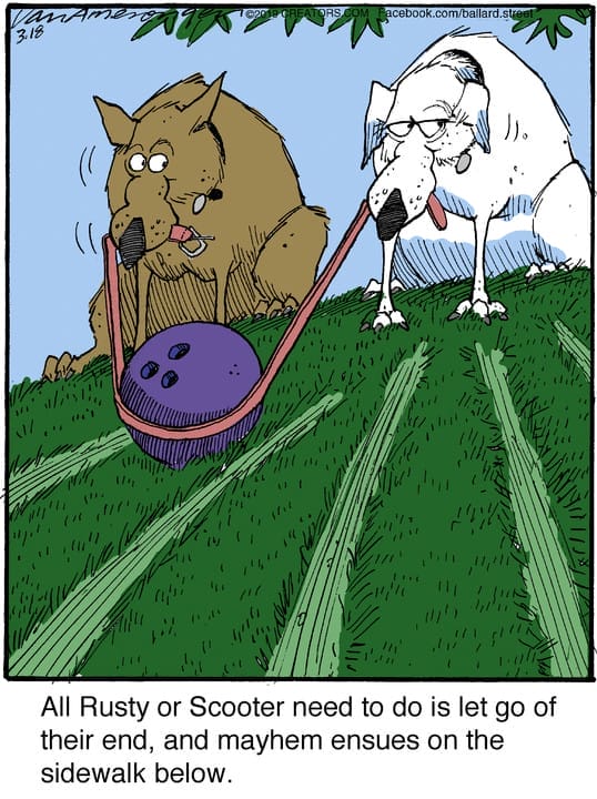 Cartoon Humor Comics