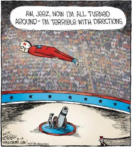 Everyday Life in Cartoons