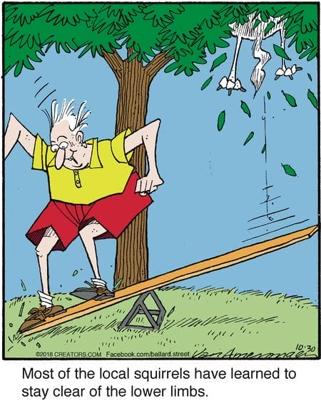 New Ballard Street Cartoon