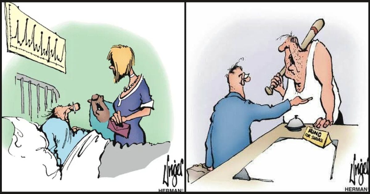 Absurd Situations Cartoons